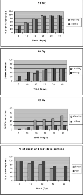 Figure 1  - Effects of several radiation doses on  shooting and rooting of I. batatas 