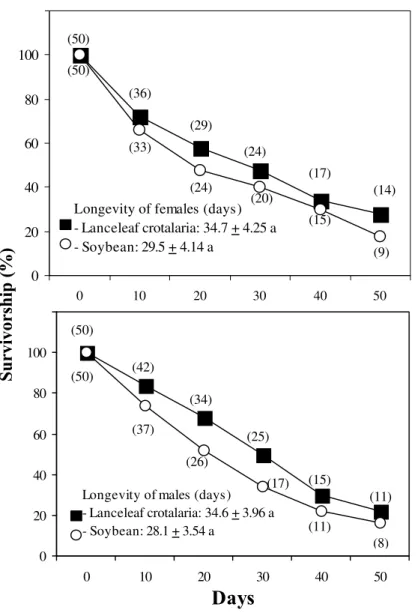 Figure 1  -  Survivorship  up to 50 days  and total longevity of female and male  Piezodorus guildinii  feeding on  immature pods of lanceleaf crotalaria or soybean in the laboratory (initial number on each food  n = 50; number of  adults at each time inte
