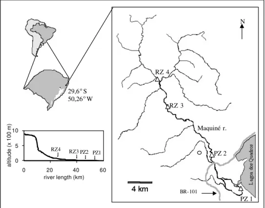 Figure 1   - Geographic situation of the Maquiné river drainage showing location of the  sampling points (open circle = city of Maquiné)