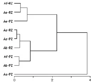 Figure 2   - Cluster analysis for diet similarity  of five  Astyanax species collected in two different zones of river  Maquiné