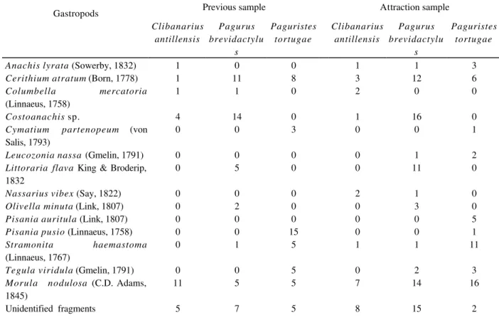 Table 1   - Gastropod shells occupied by the three species of hermit crabs collected in the previous and in the  attraction samples in the rocky shore of Preta Beach, São Sebastião, São Paulo State, Brazil