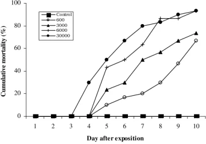 Figure 1 - Cumulative mortality of Boophilus microplus engorged females exposed to different concentrations of infective juveniles of Steinernema carpocapsae Santa Rosa strain.