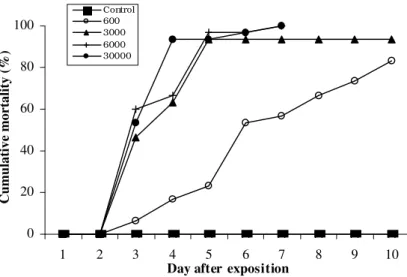 Figure 2 - Cumulative mortality of Boophilus microplus engorged females exposed to different concentrations of infective juveniles of Steinernem  carpocapsae All strain.