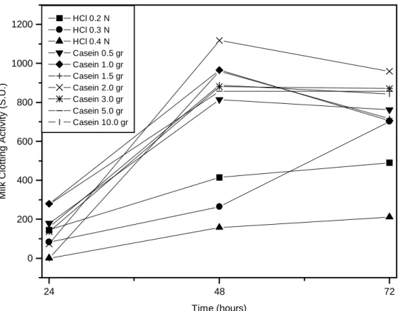 Figure 1 - Milk clotting activity for Mucor miehei on SSF fermentation during 72 h and 35 ° C.