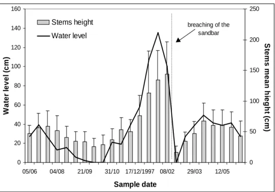 Fig.  3  shows  the  variation  in  stems  height  of  E. 
