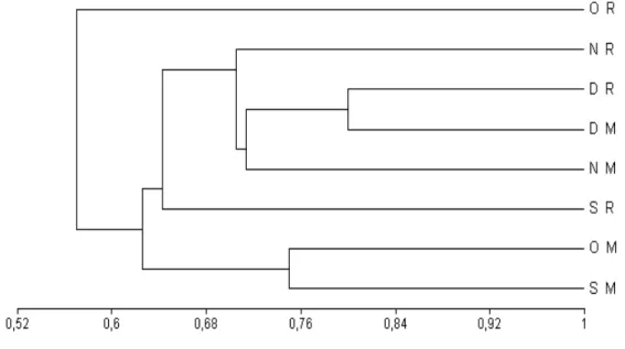 Figure 9 - Dendrogram with the binary index of Jaccard, with UPGMA aggregation algorithm with data from Catalão