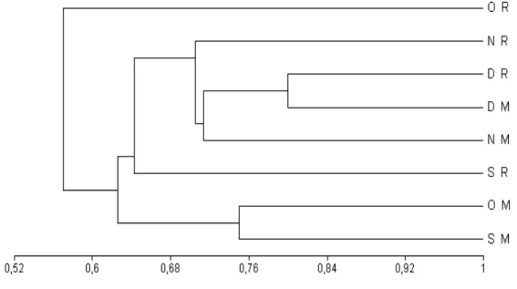 Figure 9 - Dendrogram with the binary index of Jaccard, with UPGMA aggregation algorithm with data from Catalão