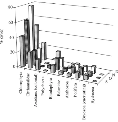 Figure 4 - Percent cover of the main groups in the monitoring treatment at Urca, in September (S), October (O), November (N) and December (D) of 2000.