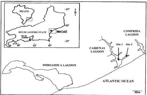 Figure 1 - Schematic localization map of Cabiúnas Lagoon. The arrows indicate the two  sampling sites.