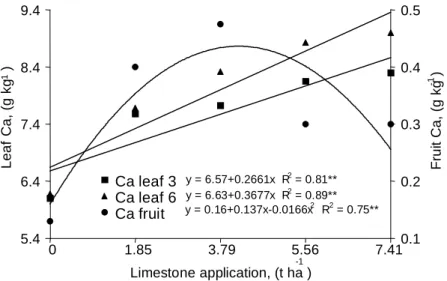 Figure 2 - Effect of the application of lime on the calcium content in the leaves (3rd and 6th) and pulp of carambola (mean of four repetitions).