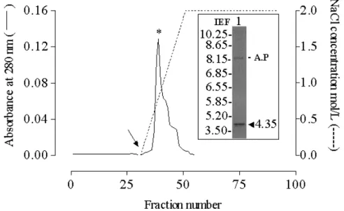 Figure 5 - Cation exchange chromatogram of ScLL and determination of pI. An aliquot (2 ml) of ScLL solution (1 mg/ml) was applied to a CM-Sepharose DEAE column (20 ml) that had been pre-equilibrated with 0.01M sodium acetate buffer (pH 5.0)
