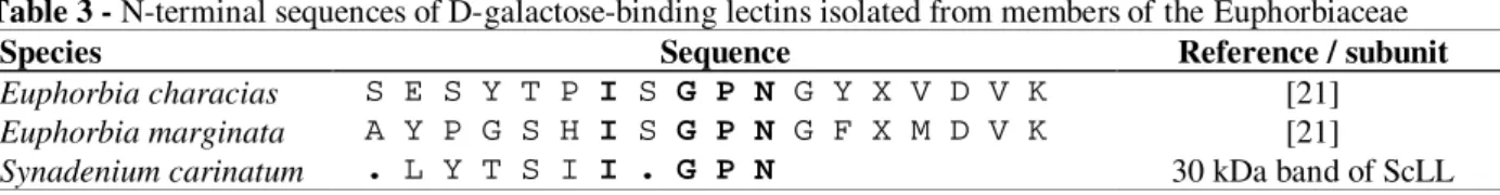 Table 3 - N-terminal sequences of D-galactose-binding lectins isolated from members of the Euphorbiaceae