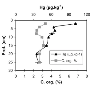 Figure 3 - Mercury and organic carbon distribution in a  sediment profile from Feia Lake