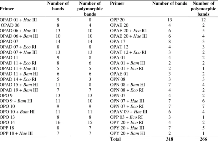 Table 2 - RAPD primers (Operon Technologies) used alone for PCR or in combination with restriction enzymes for the analysis of 40 Coffea accessions.