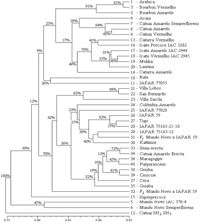 Figure 2 - UPGMA dendrogram of 40 C. arabica accessions based on Dice genetic similarity