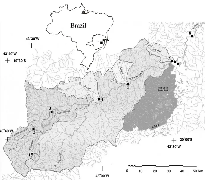 Figure 1- Location of the sub-basin and respective sampling stations in the middle Rio Doce basin, Minas Gerais State-Brazil