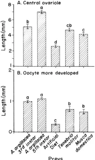 Figure 7 - (A) Influence of the prey on length of central ovariole and (B) more developed oocyte of Podisus nigrispinus, at 25º C, 60 + 10% relative humidity and photoperiod 14L:10D