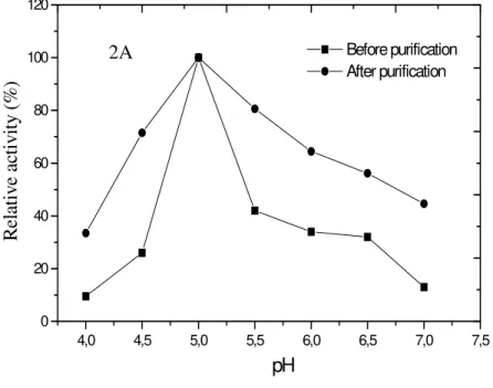 Figure  2  -  Effect  of  pH  (A)  and  temperature  (B)  on  amylase  activity  before  and  after  purification in the PEG 1000/phosphate system