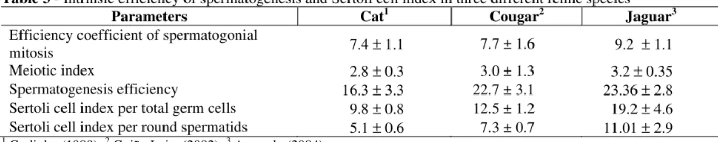 Table 3 - Intrinsic efficiency of spermatogenesis and Sertoli cell index in three different feline species   