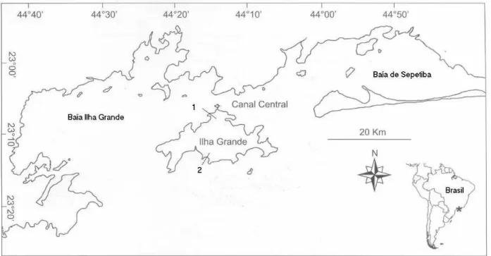 Figure 1 - Position of the studied sites in Ilha Grande