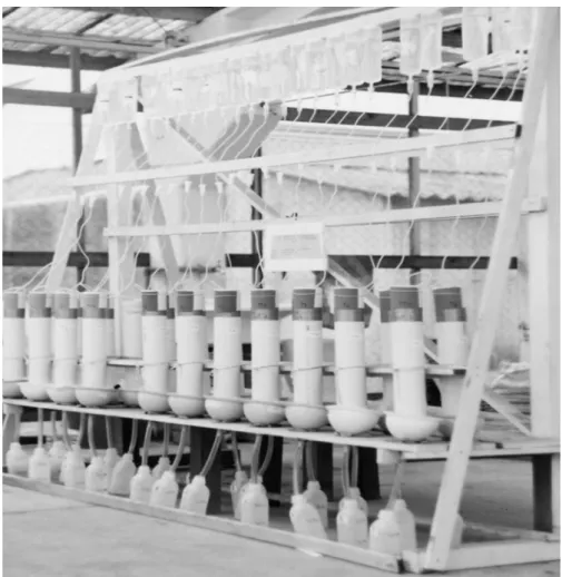 Figure 1 - Leaching columns experiment aspects 