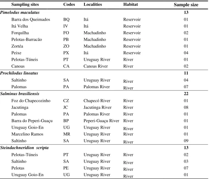 Table  1  -  Sampling  sites,  codes,  localities,  habitat  and  sample  size  of  fish  species  from  the  upper  Uruguay  River  basin