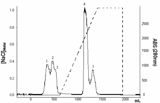 Figure  2  -  Chromatographic  profile  obtained  when  PEX  is  applied  in  an  anionic  exchange  resin  (Sepharose  DEAE  FF)