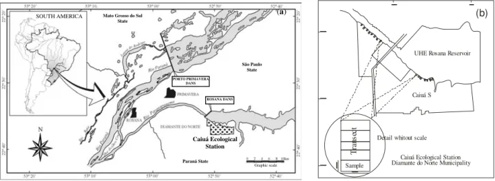 Figure 1 - Map of the study area - Caiuá Ecological Station (a) and locations of the transects at the CaiuaES (b)