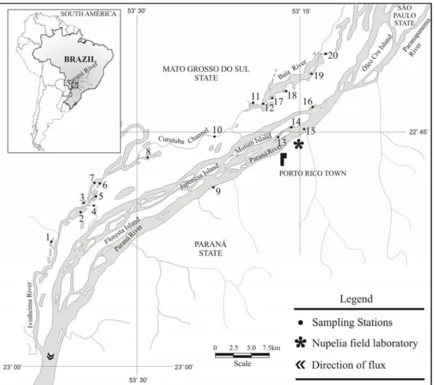 Figure 1 - Upper Paraná River floodplain. Sampling stations. 1. Peroba Lagoon, 2. Ventura Lagoon,  3