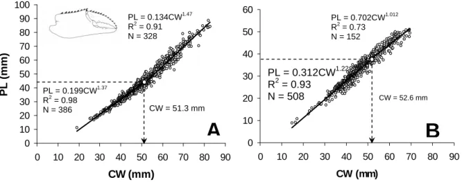 Figure 3 - U. cordatus (Linnaeus, 1763). Regression analysis of chelar propodus length (PL) against  carapace width (CW) for males (A) and females (B).