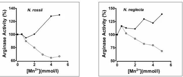 Figure 5 - The effect of the Mn 2+  ion on the argininolytic activity. Samples of liver mitochondrial  fraction  (-•-•-)  and  extracts  (-ο-ο-)  were  incubated  in  compartmentalization  buffer  without  EDTA,  pH  7.4,  containing  L-arginine  15mmol/l