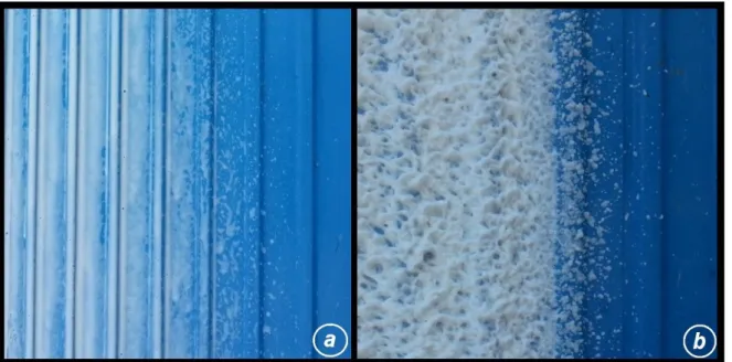 Figura 12- Exemplo de qualidade de espuma má (a) e boa (b). 