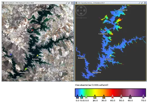 Figura 8. Imagem RGB e mapa de cianobactérias para dia 22 de outubro