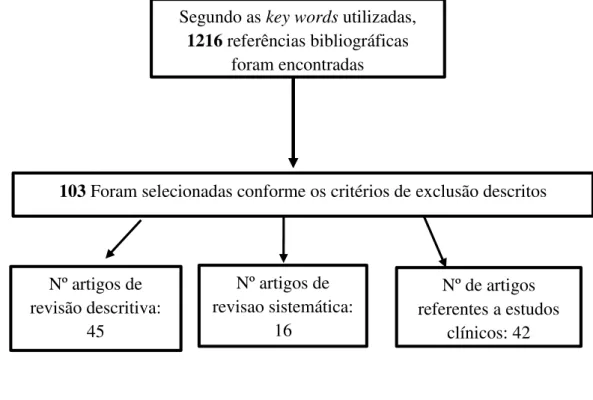 Figura 2- Representação sistemática resumida da pesquisa bibliográfica realizada, tendo  em conta as Key words e a metodologia de artigos selecionados, de revisão