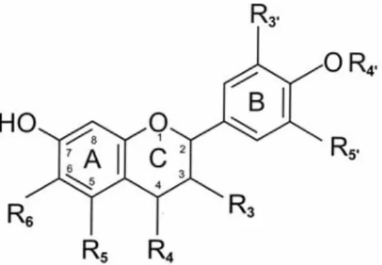 Figura 3. Estrutura base dos flavonoides mais comuns (presentes em alimentos), com  anéis e posições numeradas