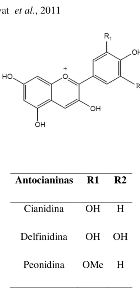 Figura 9. –Estrutura química das antocianinas  Fonte: Adaptado de Bhagwat et al., 2011 