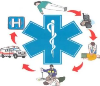 Figura 1 - Sistema Integrado de Emergência Médica