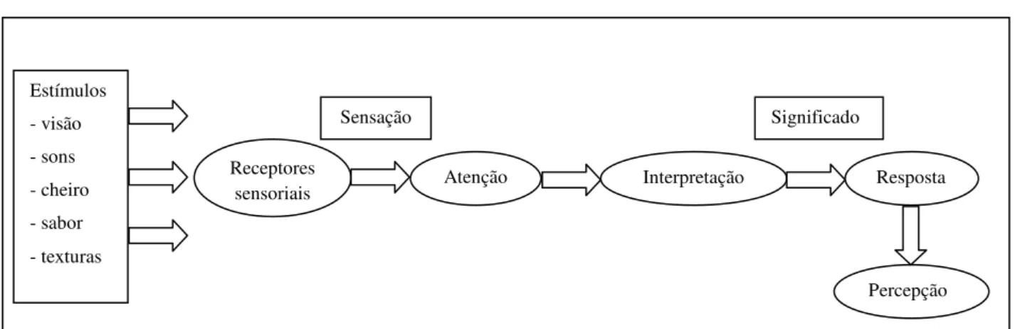 Figura 10 – Processo perceptivo, Fonte: Solomon et al, 1999 