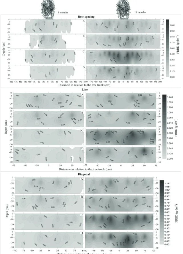 FIGURE 4   Spatial distribution of fine roots biomass density (FRBD - g. dm -3 ) in monospecific and mixed stands of eucalyptus  and  black-wattle (A = 100E; B = 50E:50A (E); C = 100A and D = 50E:50A (A)), at 8 and 18 months of age