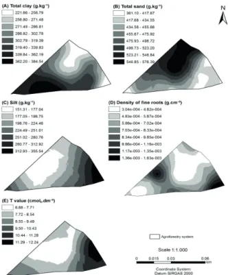 FIGURE 3 Spatial distribution maps of total clay (A), total sand  (B), silt (C), density of fine roots (D), and T value  (E) in the agroforestry system of the Integrated  Agroecological Production System.