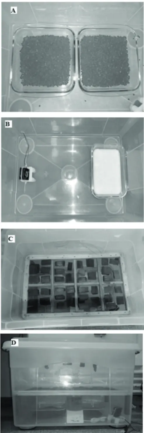 FIGURE 1 Plastic  box  with  silica  gel  (A);  plastic  box  with  K 2 SO 4  with a fan indoor air circulation (B); charcoal  packaging  (C)  and  set  up  test  containing  a  saline  solution, gauge of temperature and RH, fan and  charcoal samples (D).1