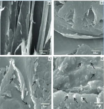 Figure  2 shows the SEM micrographs of the  control (Figure 2a) and impregnated poplar wood FIGURE 1 Schematic  picture  of  the  slide  fi re  testing 