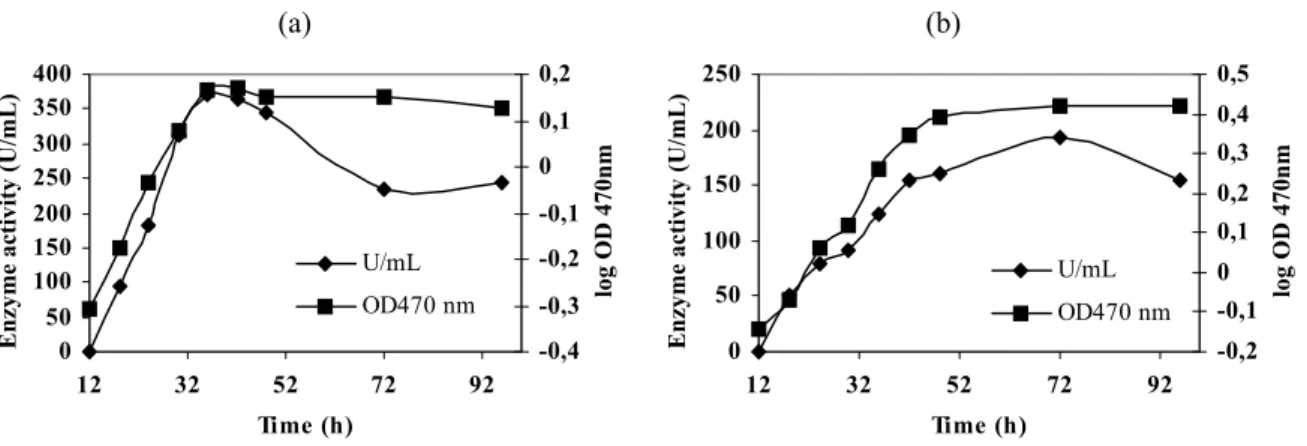 Figure 1 - Growth and α-amylase activity of Bacillus  sp. in liquid medium containing 1% peptone, 0.5% 