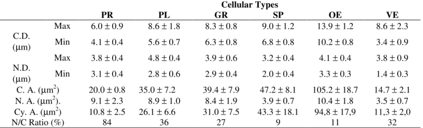 Table 2 - The morphometric analysis of the different hemocyte types found in the hemolymph of the D
