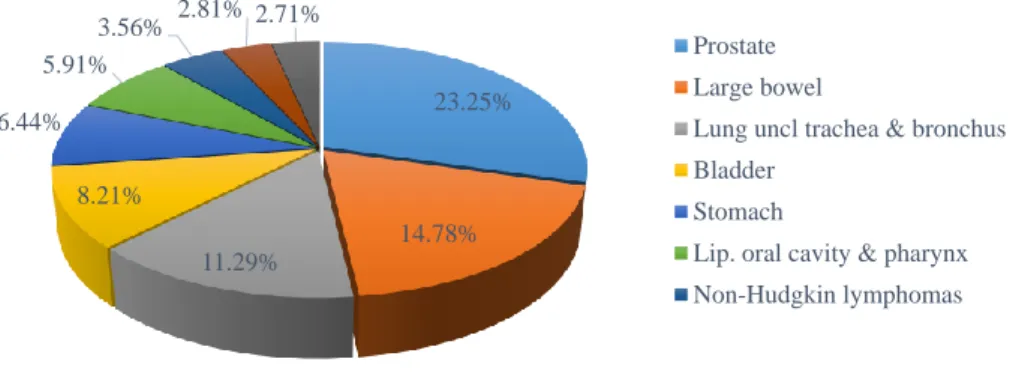 Figure 1.1- Statistical evaluation of cancer distribution in Portuguese men population in 2012 (Adapted from  (10)).