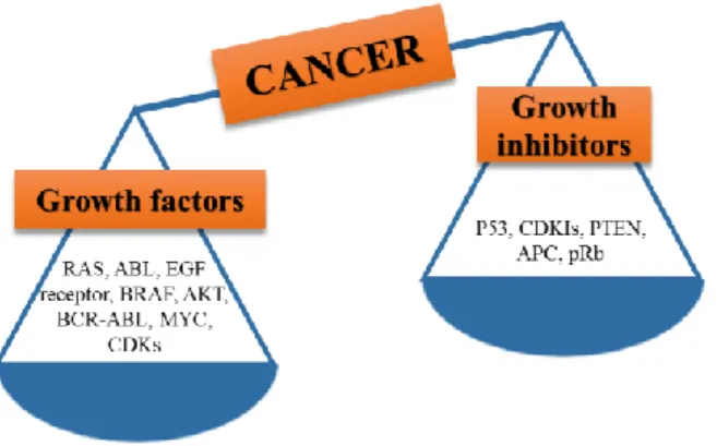 Figure 1.3 - Balance between growth factors and growth inhibitors; when growth factors are highly  expressed, cancer occurs