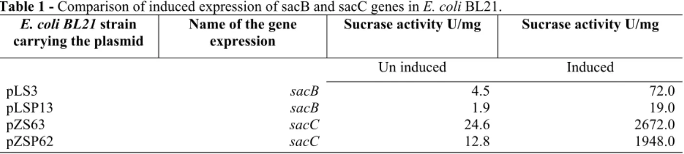 Table 1 - Comparison of induced expression of sacB and sacC genes in E. coli BL21. 