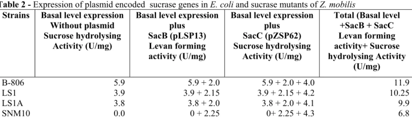 Table 2 - Expression of plasmid encoded  sucrase genes in E. coli and sucrase mutants of Z