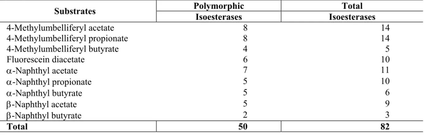 Table 2 - Esterase polymorphism in the Manihot esculenta cultivars detected with the use of 4-methylumbelliferyl  esters (acetate, propionate, butyrate), fluorescein diacetate, and α- and β-naphthyl esters (acetate, propionate,  butyrate)