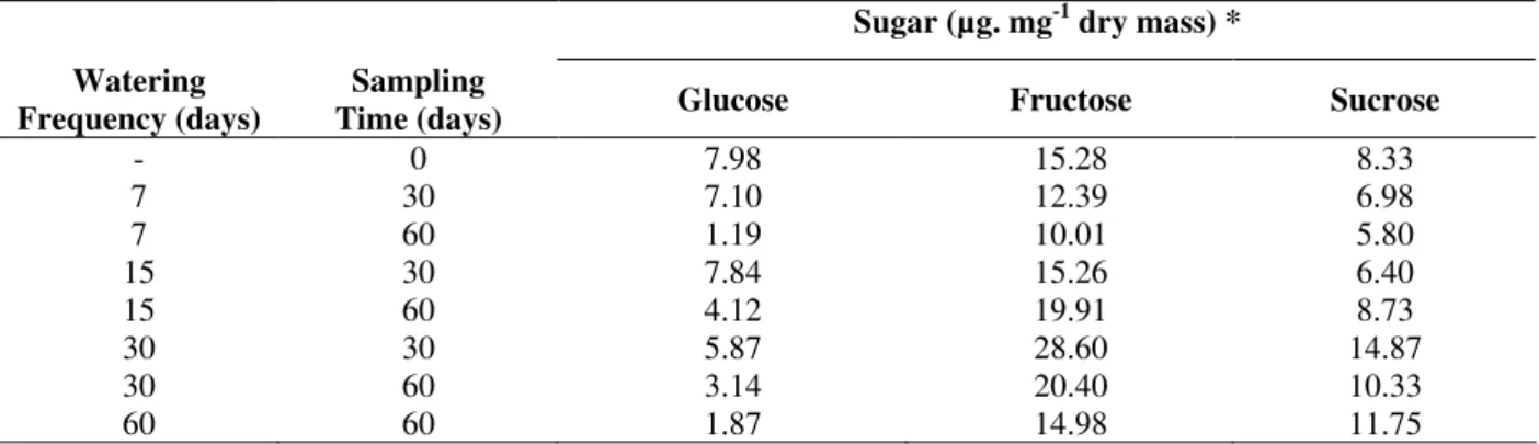 Table  1  -  Quantification  of  glucose,  fructose  and  sucrose  in  rhizophores  of  plants  of  Vernonia  herbacea  under  different watering treatments